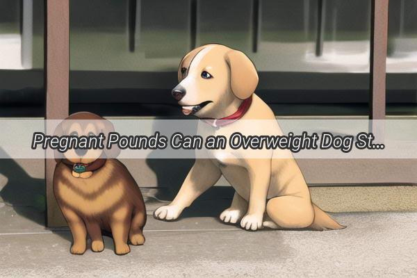 Pregnant Pounds Can an Overweight Dog Still Bear Puppies